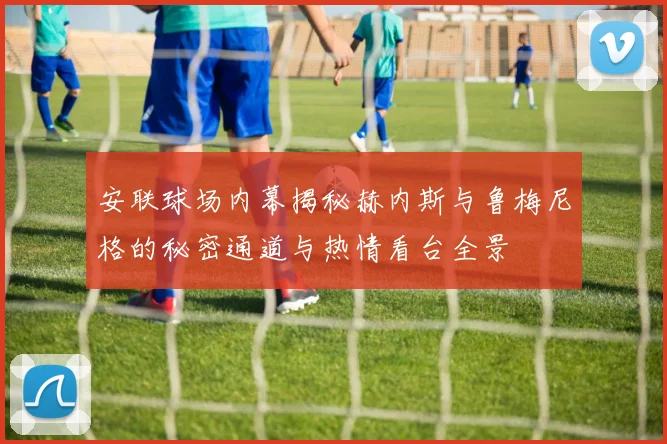 安联球场内幕揭秘赫内斯与鲁梅尼格的秘密通道与热情看台全景